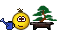 bonsai.gif