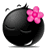 noir