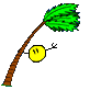 ouragan.gif