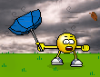 tempete.gif
